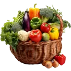 Imagen de la categoría De Agro
